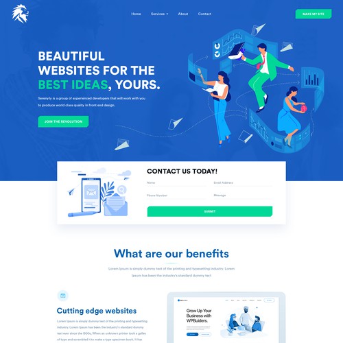 Website Design (SMEs)